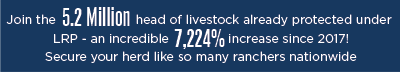 Join the 5.2 million head of livestock already protected under LRP - an incredible 7,224% increase since 2017! Secure your herd like so many ranchers nationwide